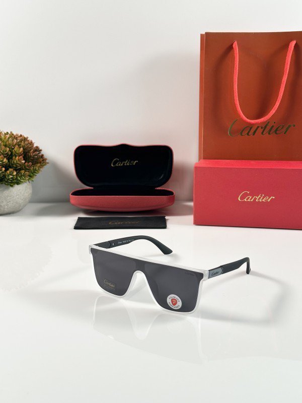 Cartier_6820_Ice_Black