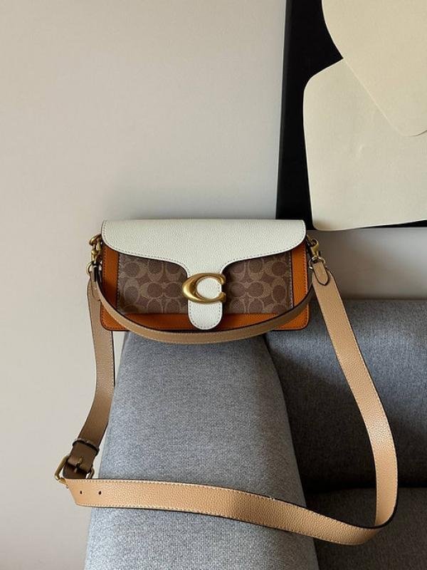 Coach_tabby_sig_cc_26_leather_shoulder_bag_with_box_premium_Quality