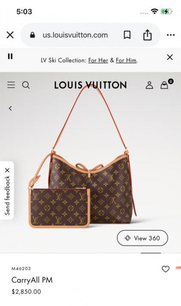 Louis_vuitton carry All PM with box